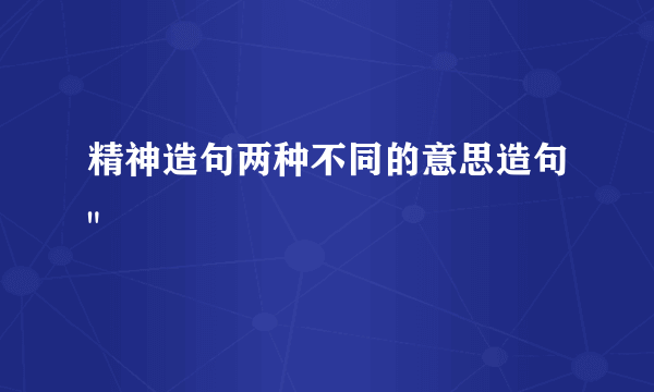 精神造句两种不同的意思造句