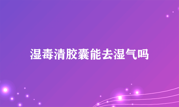 湿毒清胶囊能去湿气吗