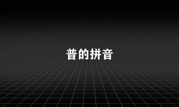 普的拼音