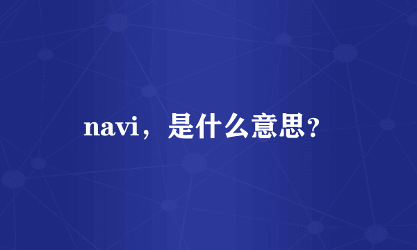 navi，是什么意思？