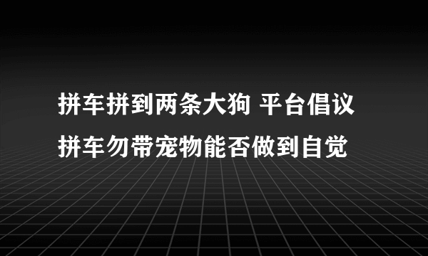 拼车拼到两条大狗 平台倡议拼车勿带宠物能否做到自觉