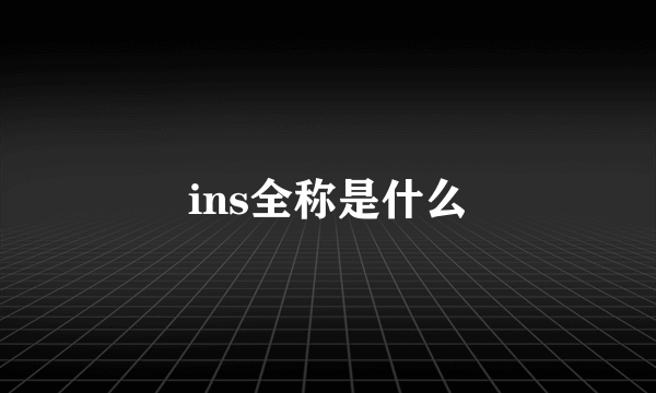 ins全称是什么