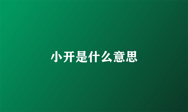 小开是什么意思