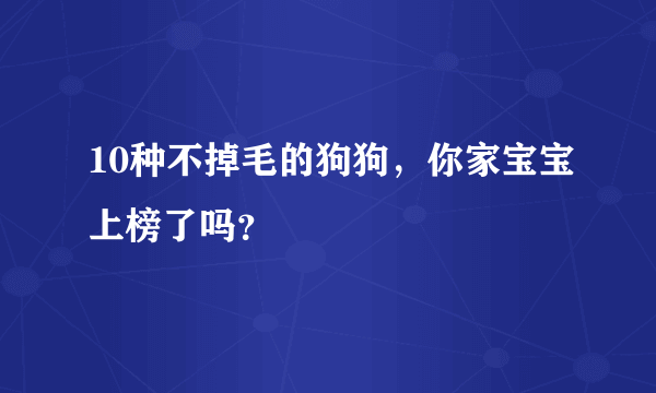 10种不掉毛的狗狗，你家宝宝上榜了吗？