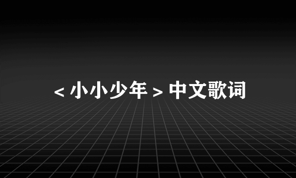 ＜小小少年＞中文歌词