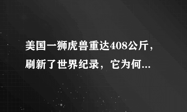 美国一狮虎兽重达408公斤，刷新了世界纪录，它为何能长这么大？