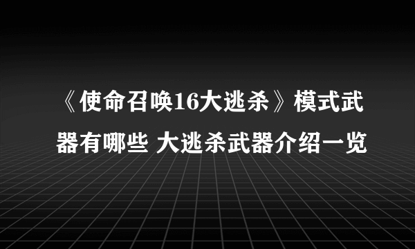 《使命召唤16大逃杀》模式武器有哪些 大逃杀武器介绍一览