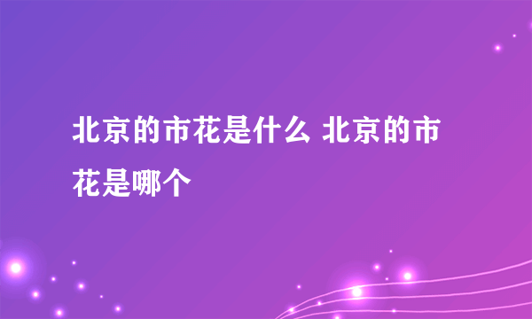 北京的市花是什么 北京的市花是哪个