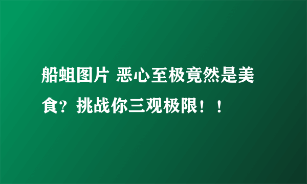 船蛆图片 恶心至极竟然是美食？挑战你三观极限！！