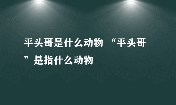 平头哥是什么动物 “平头哥”是指什么动物