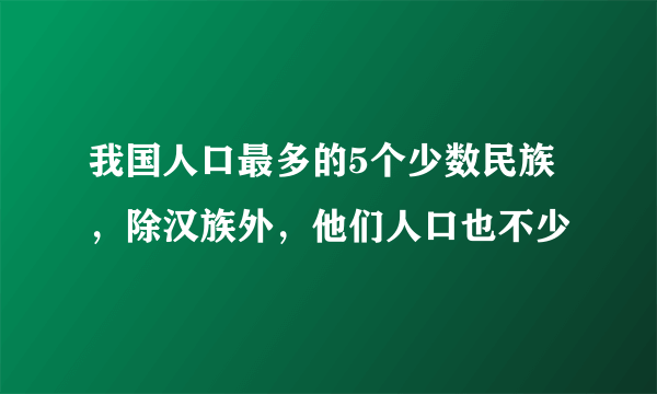 我国人口最多的5个少数民族，除汉族外，他们人口也不少