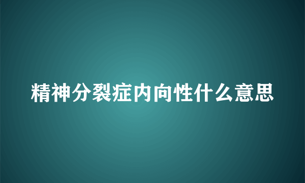 精神分裂症内向性什么意思