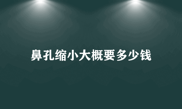 鼻孔缩小大概要多少钱