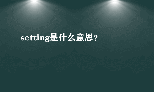 setting是什么意思？