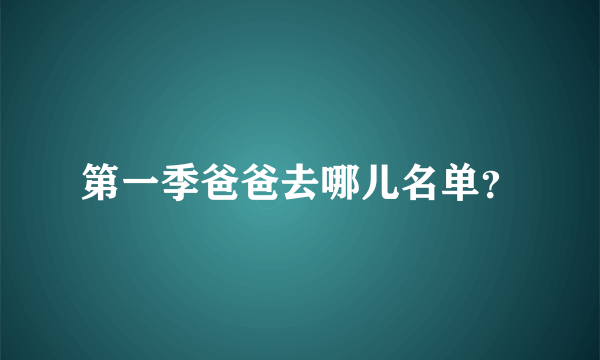 第一季爸爸去哪儿名单？