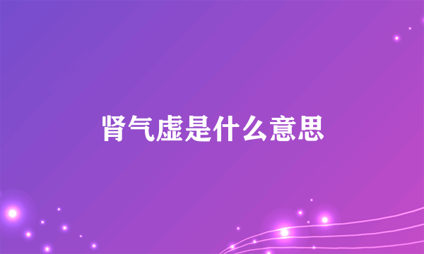 肾气虚是什么意思