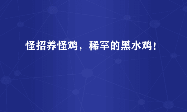 怪招养怪鸡，稀罕的黑水鸡！