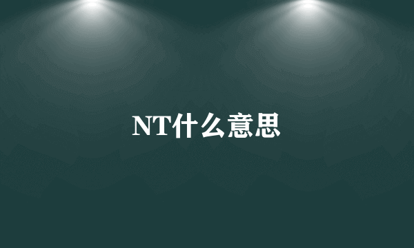 NT什么意思