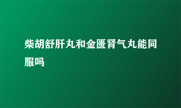 柴胡舒肝丸和金匮肾气丸能同服吗