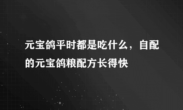 元宝鸽平时都是吃什么，自配的元宝鸽粮配方长得快