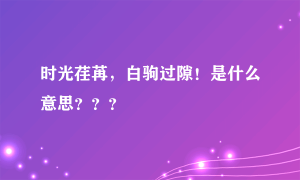 时光荏苒，白驹过隙！是什么意思？？？