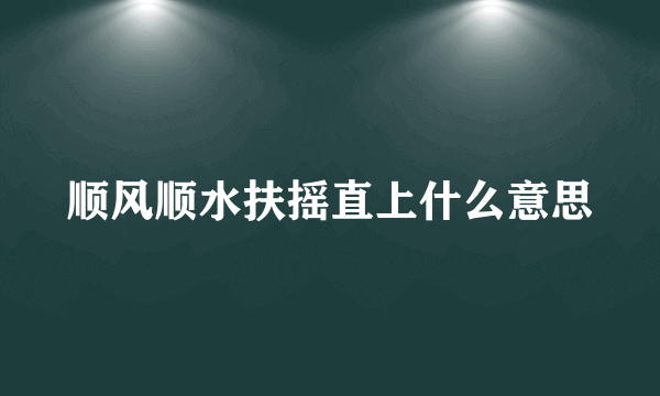 顺风顺水扶摇直上什么意思