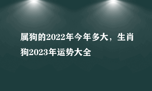 属狗的2022年今年多大，生肖狗2023年运势大全