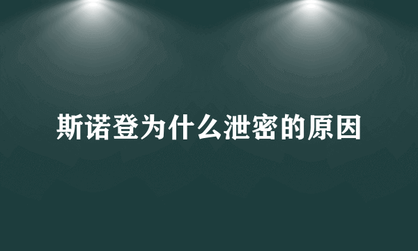 斯诺登为什么泄密的原因