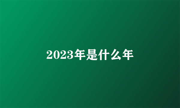 2023年是什么年