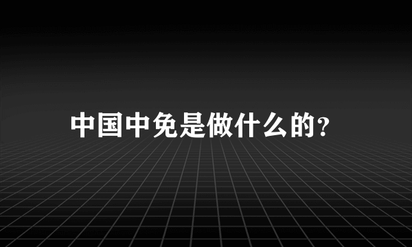 中国中免是做什么的？