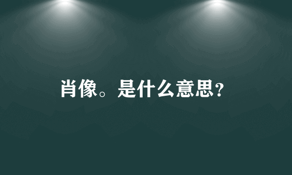 肖像。是什么意思？