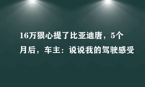 16万狠心提了比亚迪唐，5个月后，车主：说说我的驾驶感受