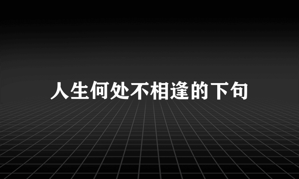 人生何处不相逢的下句