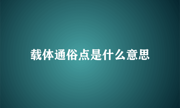 载体通俗点是什么意思