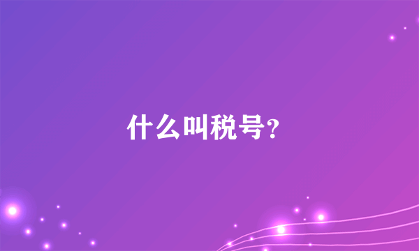 什么叫税号？