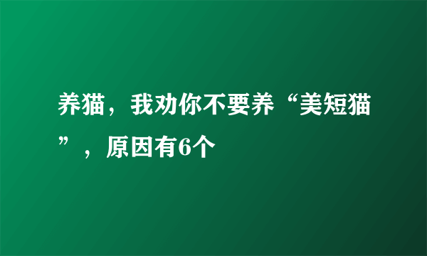 养猫，我劝你不要养“美短猫”，原因有6个