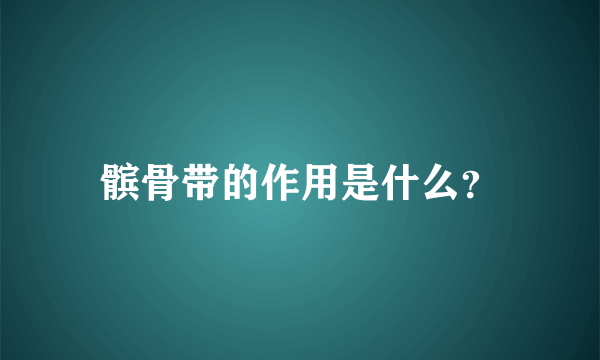 髌骨带的作用是什么？