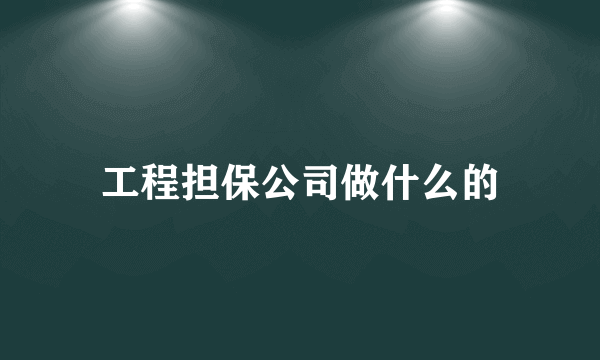 工程担保公司做什么的