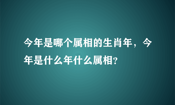 今年是哪个属相的生肖年，今年是什么年什么属相？