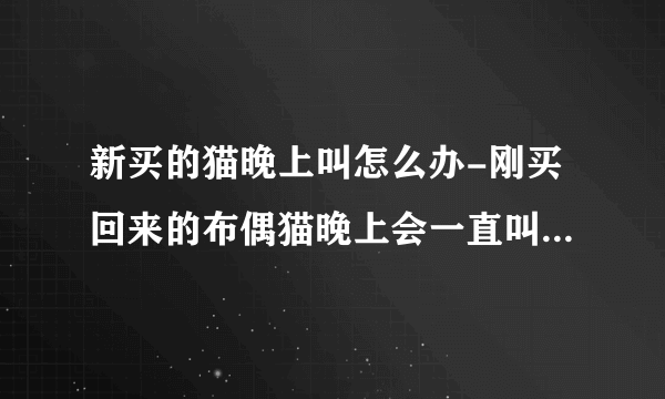 新买的猫晚上叫怎么办-刚买回来的布偶猫晚上会一直叫个不停吗？