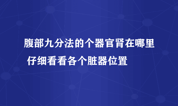 腹部九分法的个器官肾在哪里 仔细看看各个脏器位置