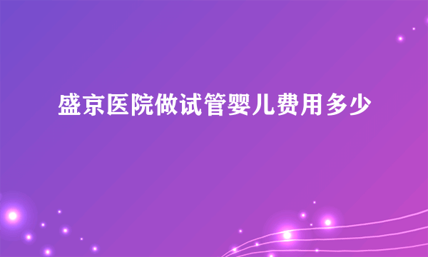 盛京医院做试管婴儿费用多少