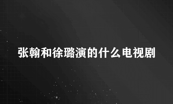 张翰和徐璐演的什么电视剧