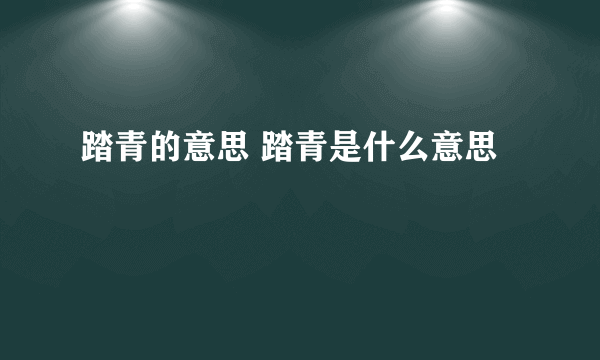 踏青的意思 踏青是什么意思