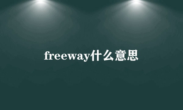 freeway什么意思