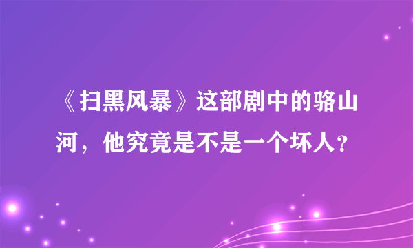 《扫黑风暴》这部剧中的骆山河，他究竟是不是一个坏人？