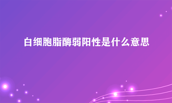 白细胞脂酶弱阳性是什么意思