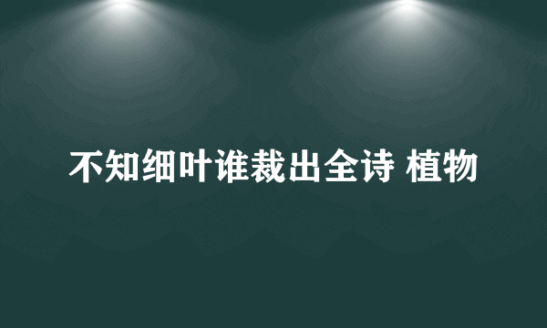 不知细叶谁裁出全诗 植物