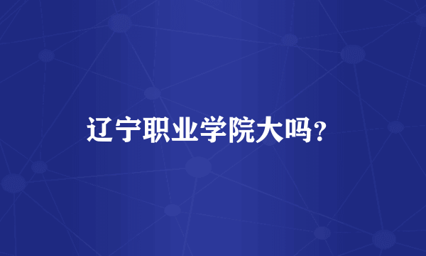 辽宁职业学院大吗？