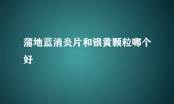 蒲地蓝消炎片和银黄颗粒哪个好